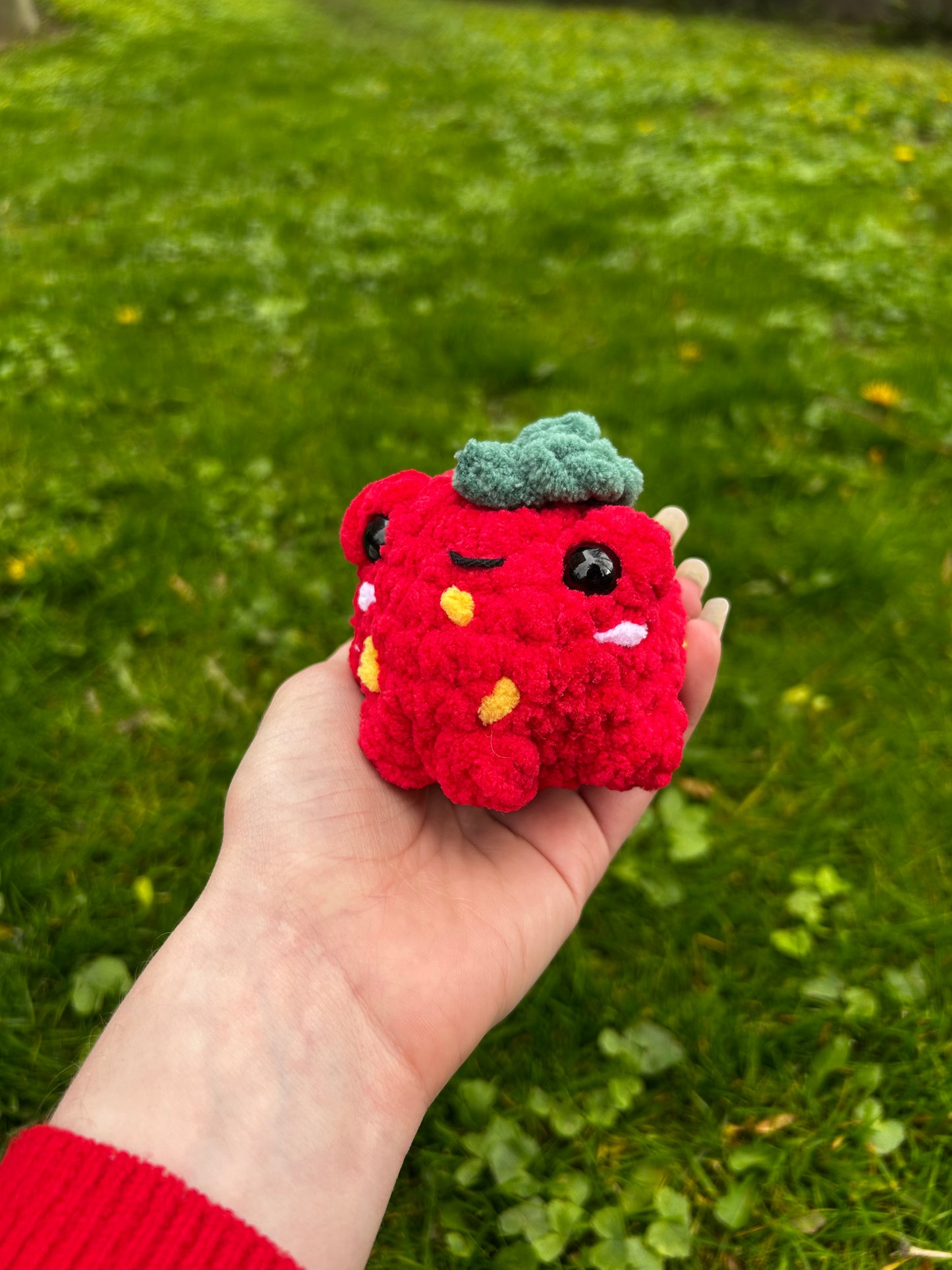 Petites grenouilles