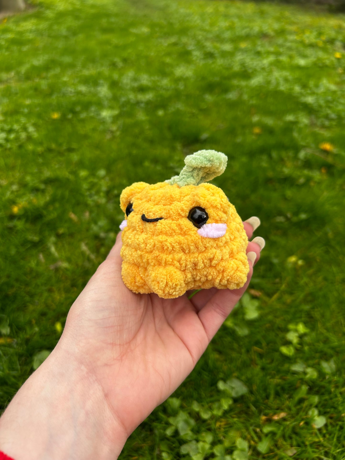 Petites grenouilles