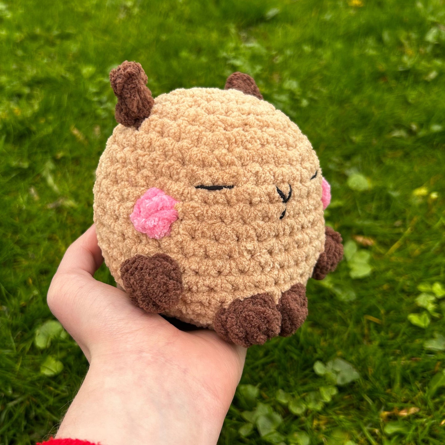 Capybara