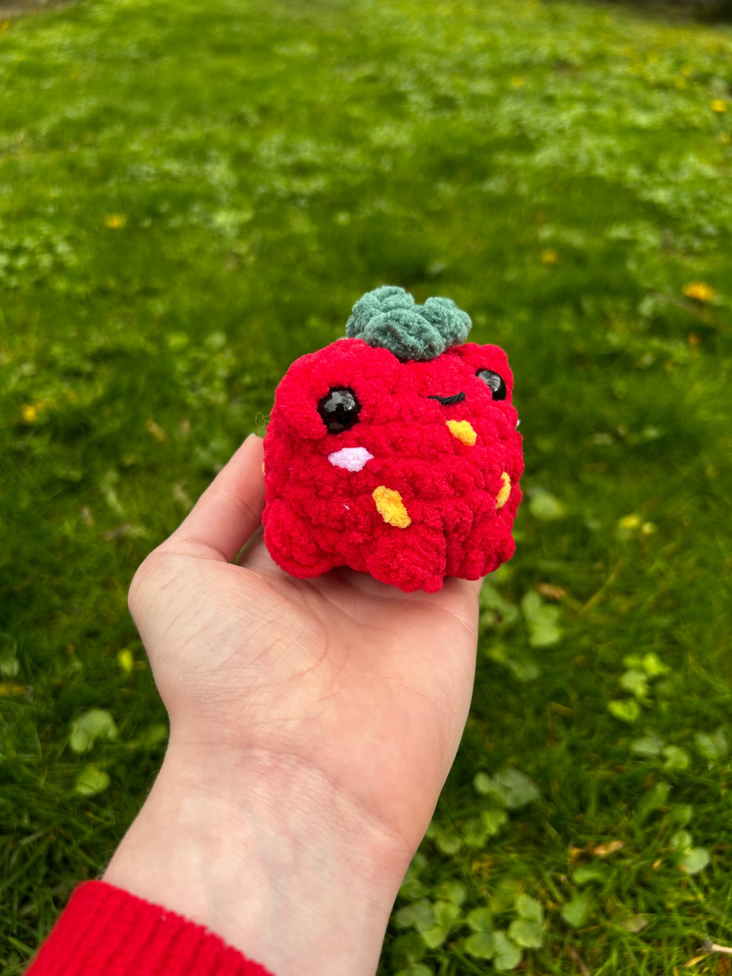 Petites grenouilles