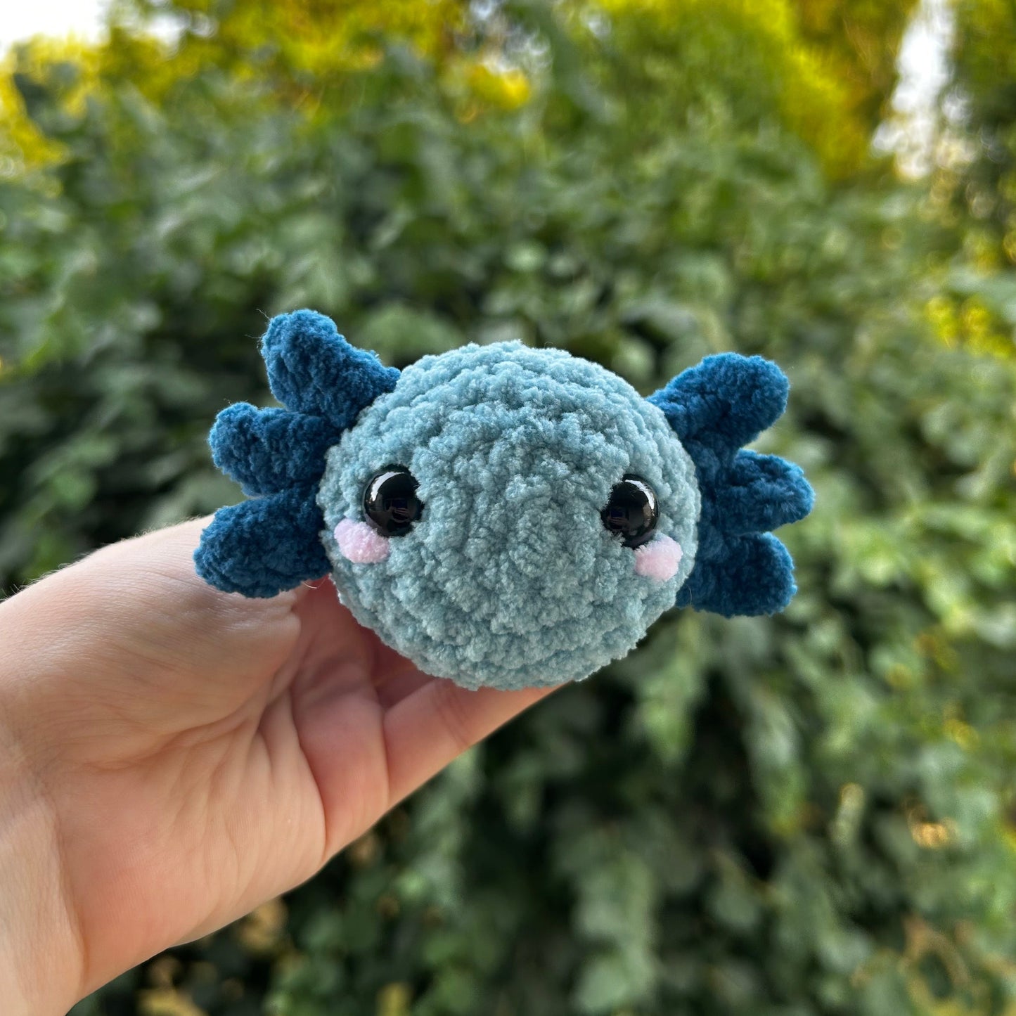 Axolotl