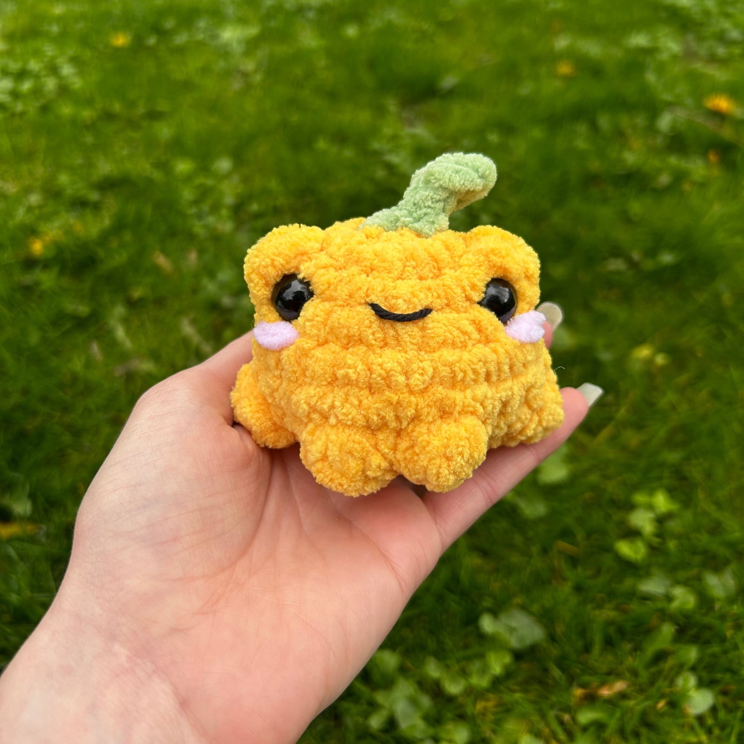 Petites grenouilles