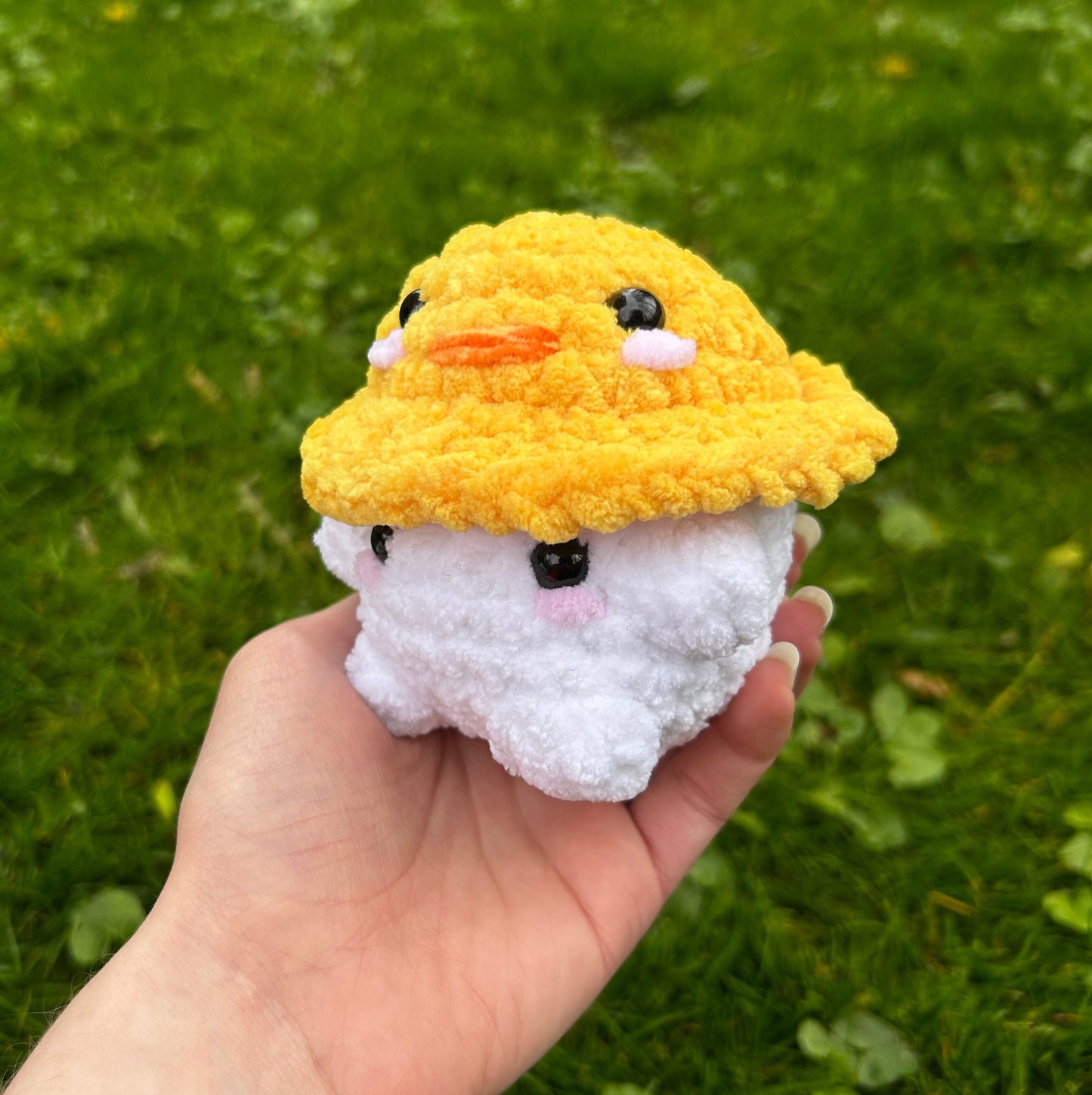 Champipoussin