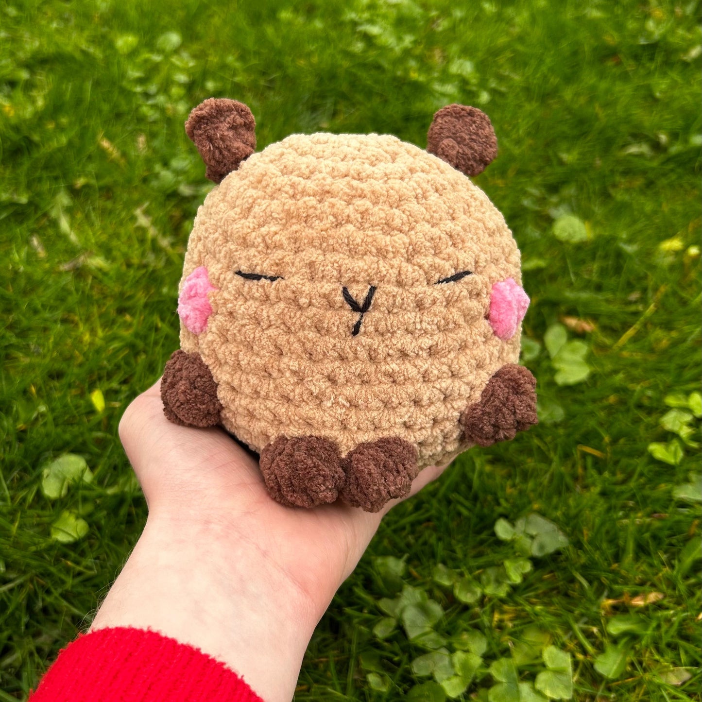 Capybara