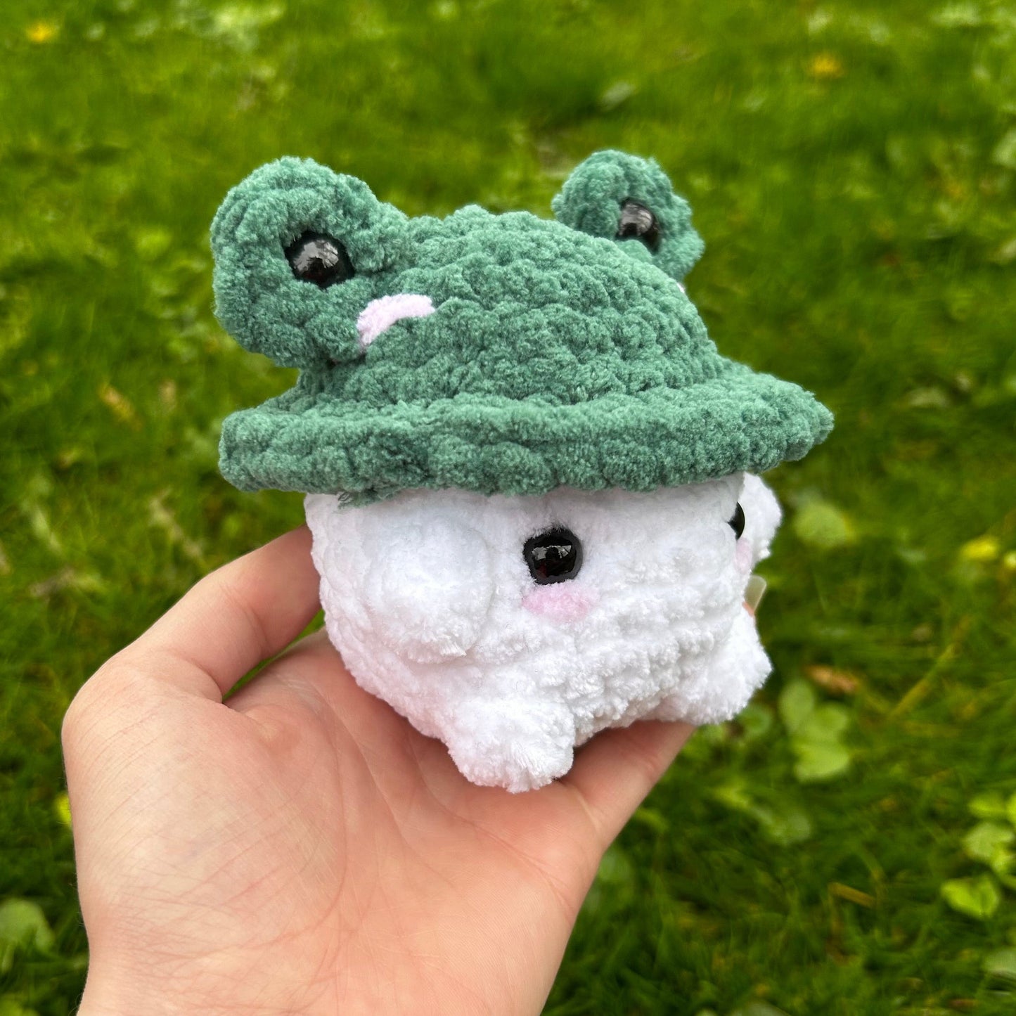 Champigrenouille