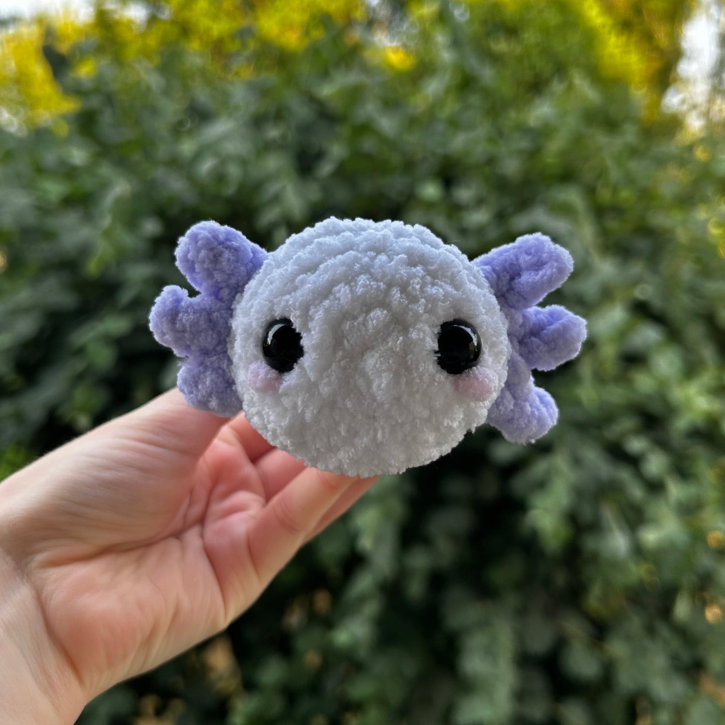 Axolotl