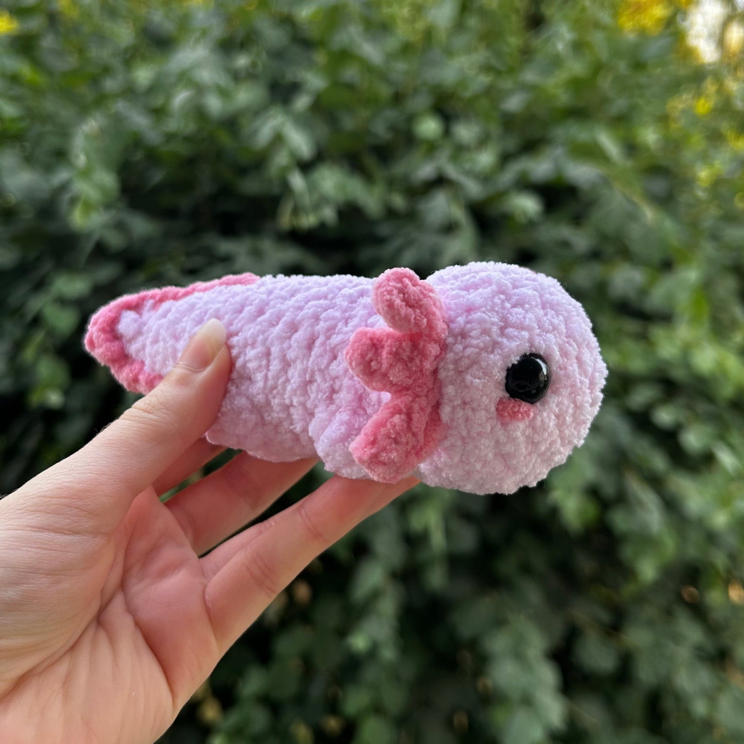 Axolotl