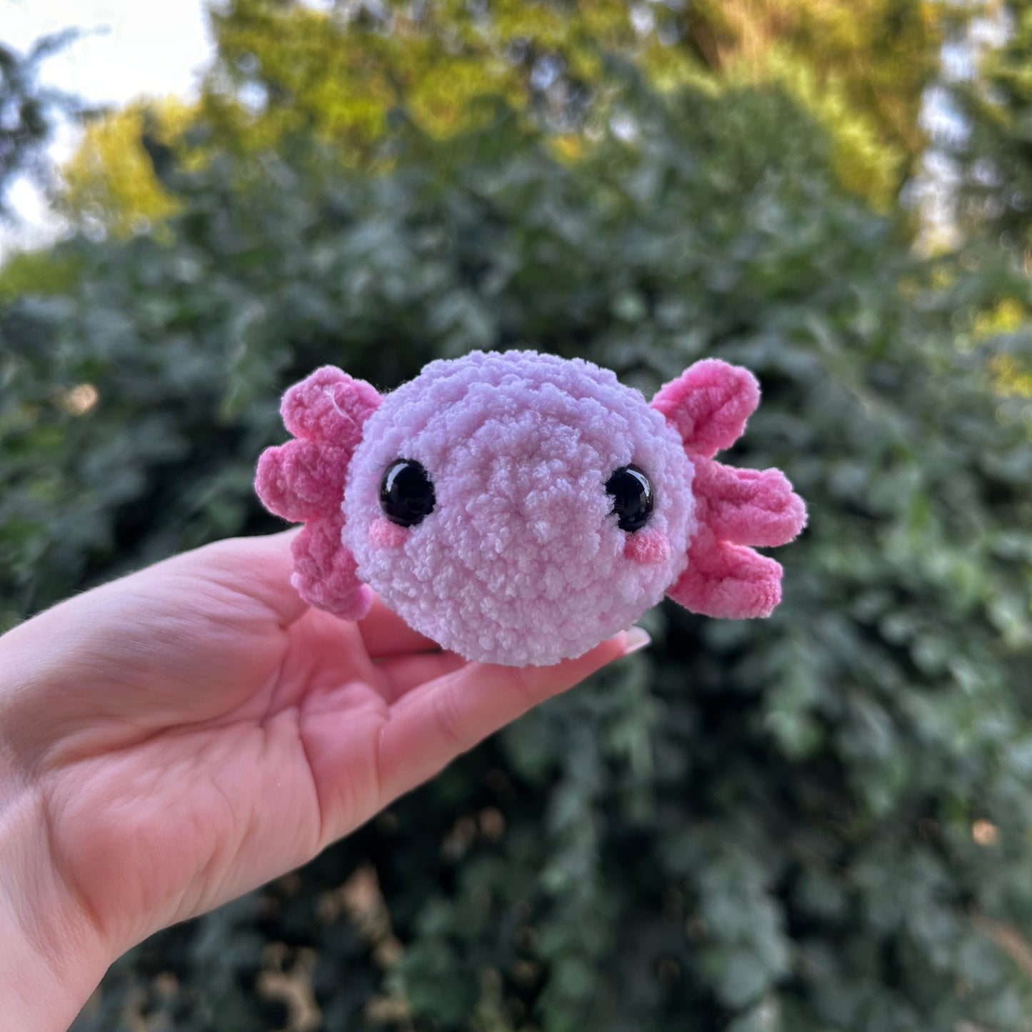 Axolotl