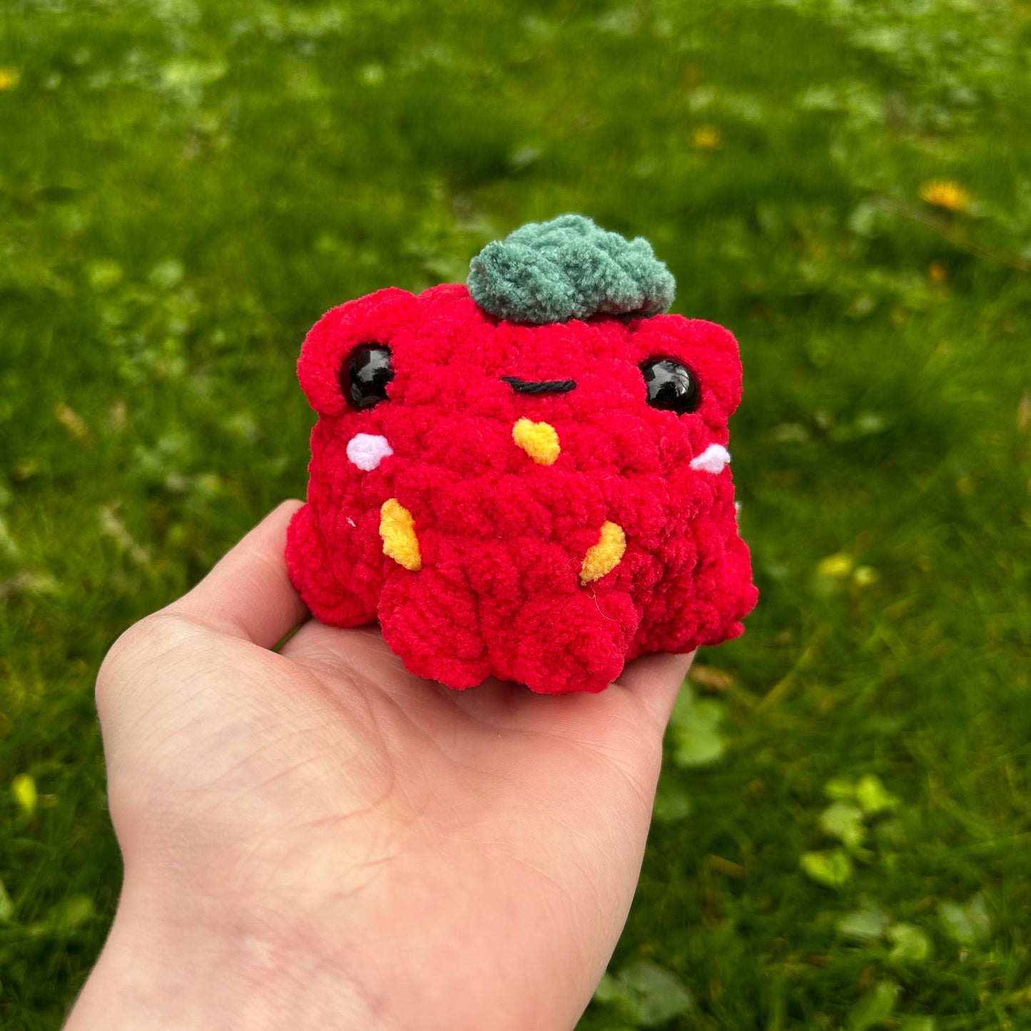 Petites grenouilles
