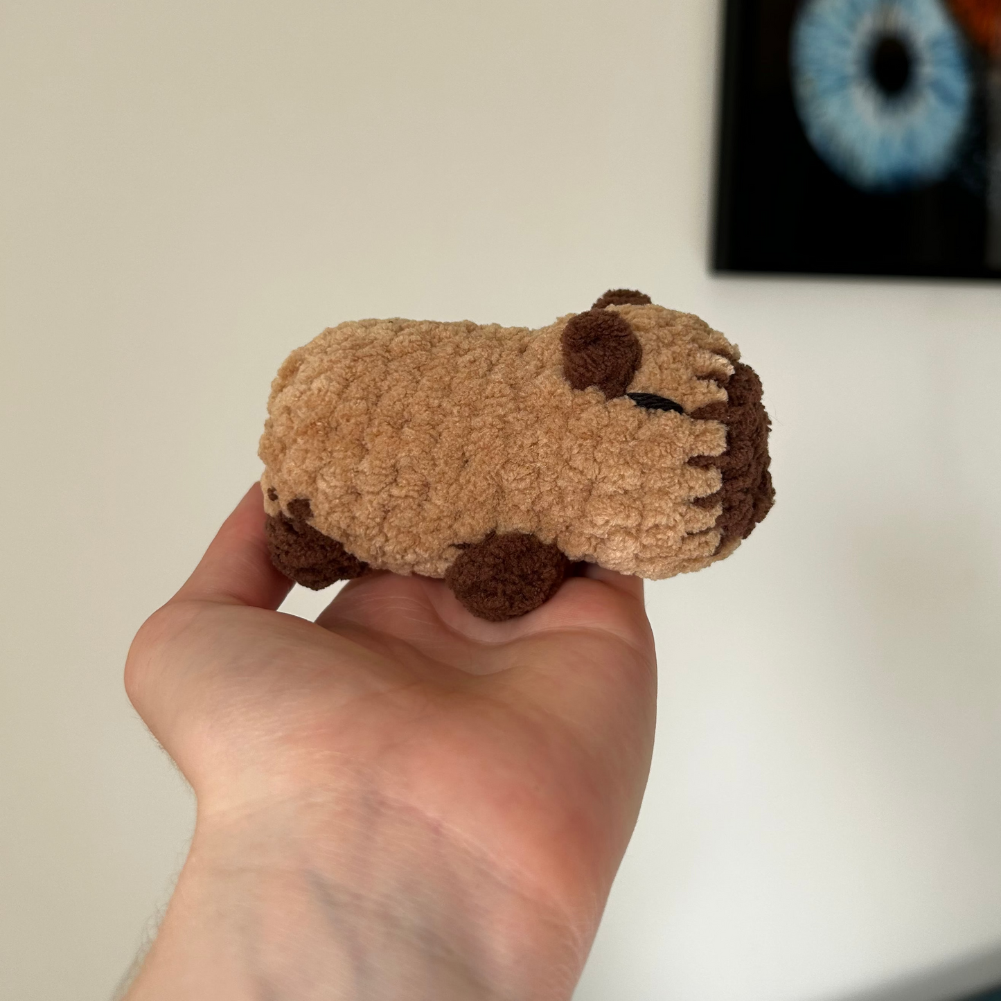 petit capybara