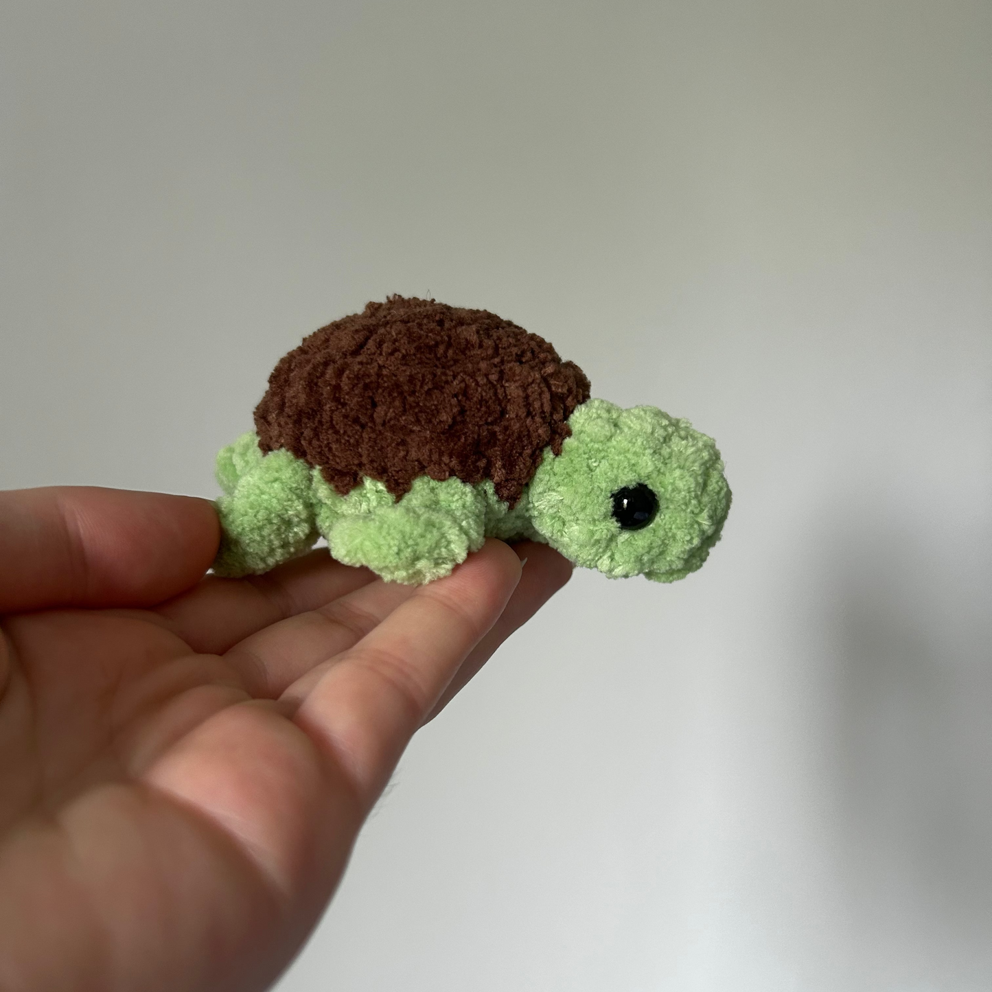 Petite tortue
