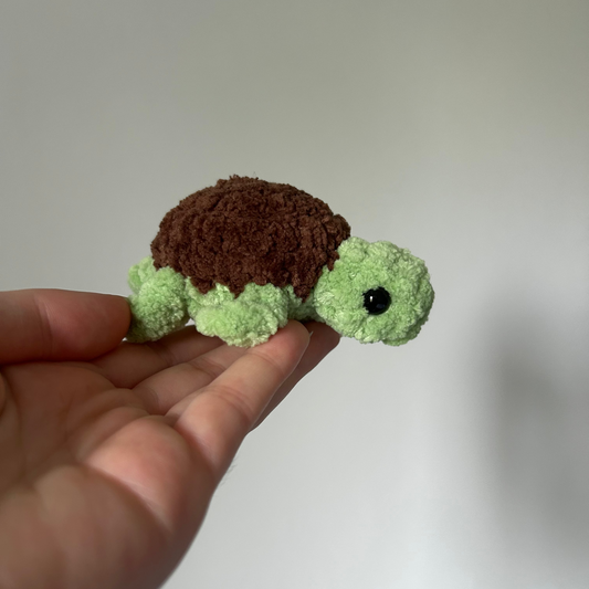 Petite tortue