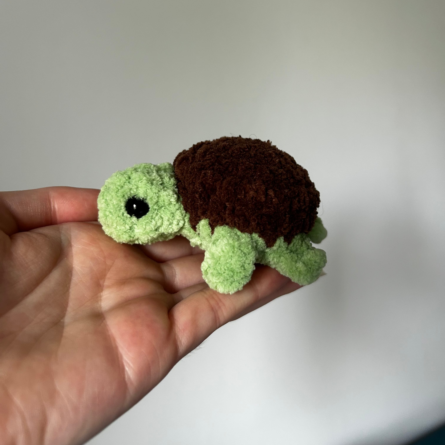 Petite tortue