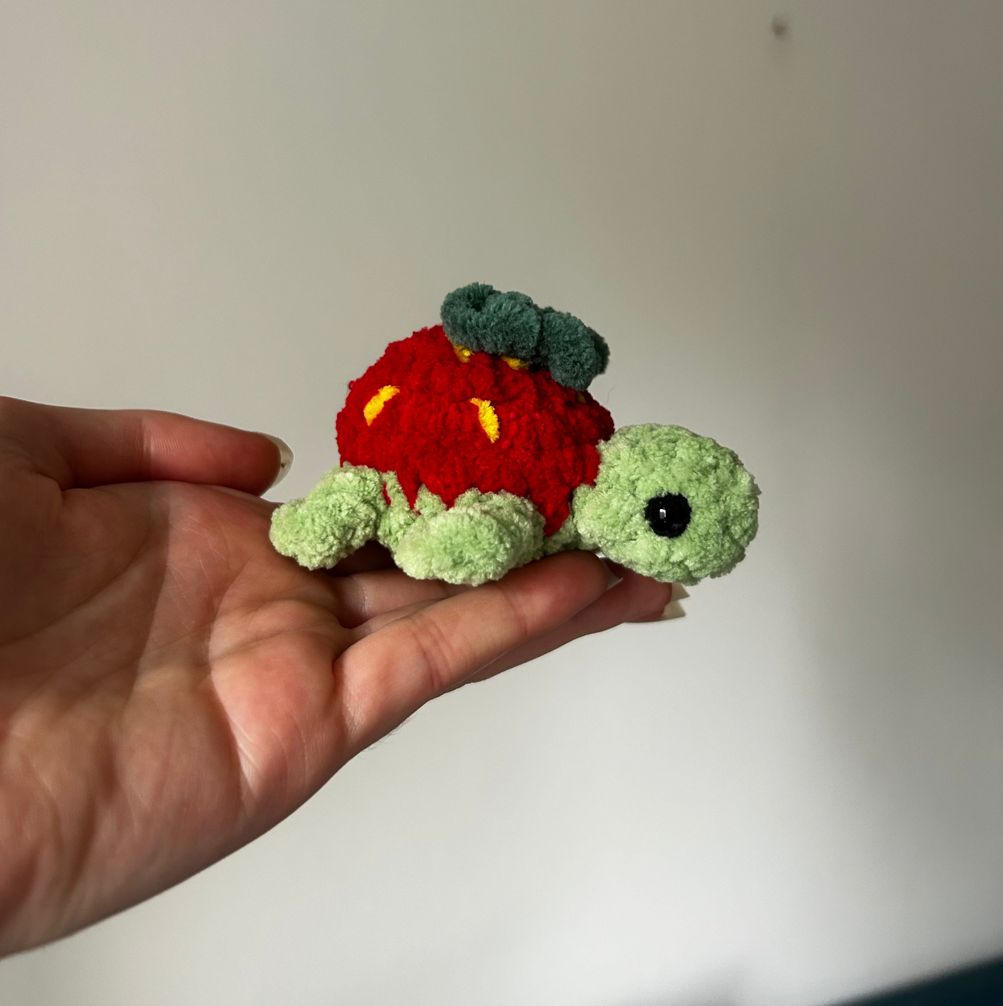 Petite tortue