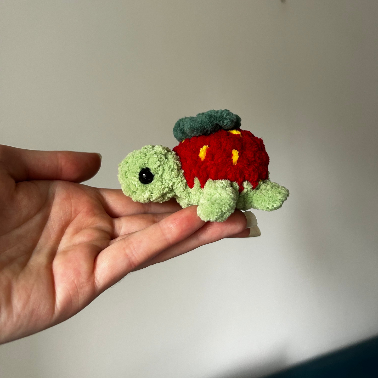 Petite tortue