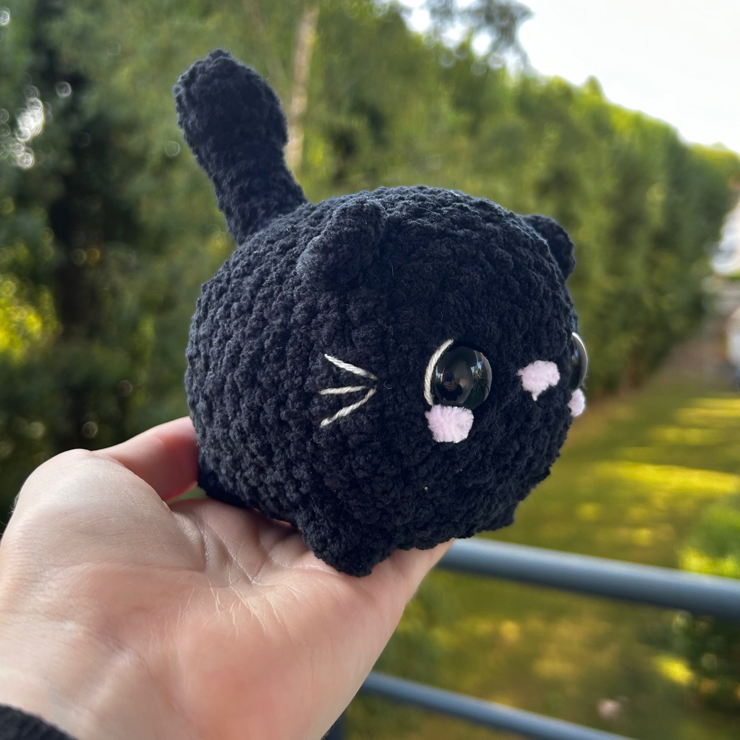 Chats brioches