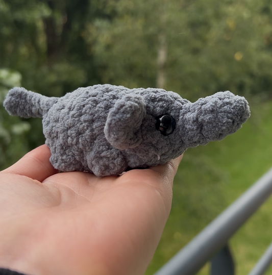 Petit éléphant